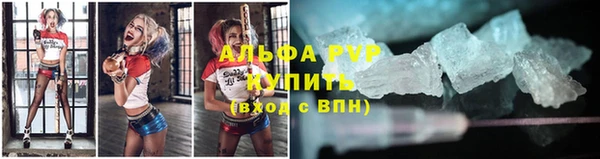 гашик Беломорск