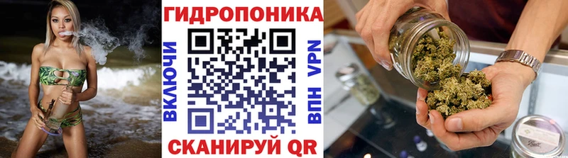 где найти наркотики  Высоковск  mega зеркало  Марихуана OG Kush 
